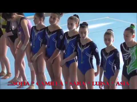 Luisa Nardi -  Ginnastica Poggetto - 15-02-2020 campionato regionale FGI Silver LE J1