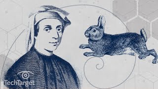 Download the video "What is the Fibonacci Sequence and Why is it Important?"