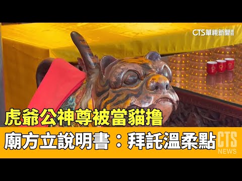 虎爺公神尊被當貓撸　廟方立說明書：拜託溫柔點