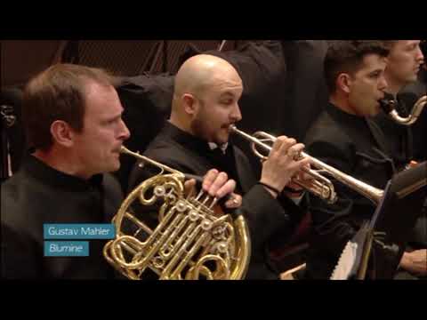Mahler Blumine Intro