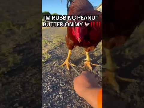 IM RUBBING PEANUT BUTTER ON MY 🐓⁉️⁉️