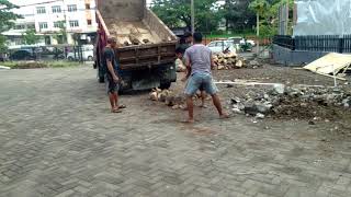 Download lagu Menegangkan !! Supir Truk Ini Mengisi Batu Mobilnya Tanpa Alat mp3