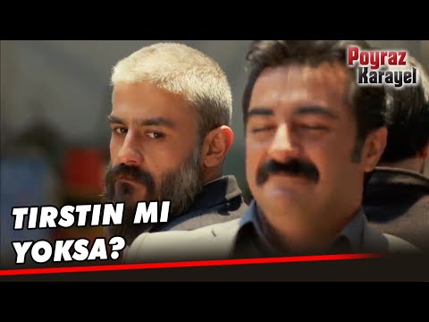 Sefer, Taşkafaya Şaşırdı! - Poyraz Karayel Özel Klip