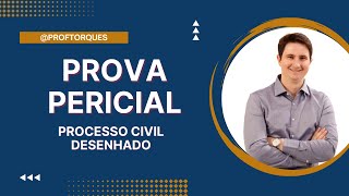 Prova Pericial | Processo Civil Desenhado