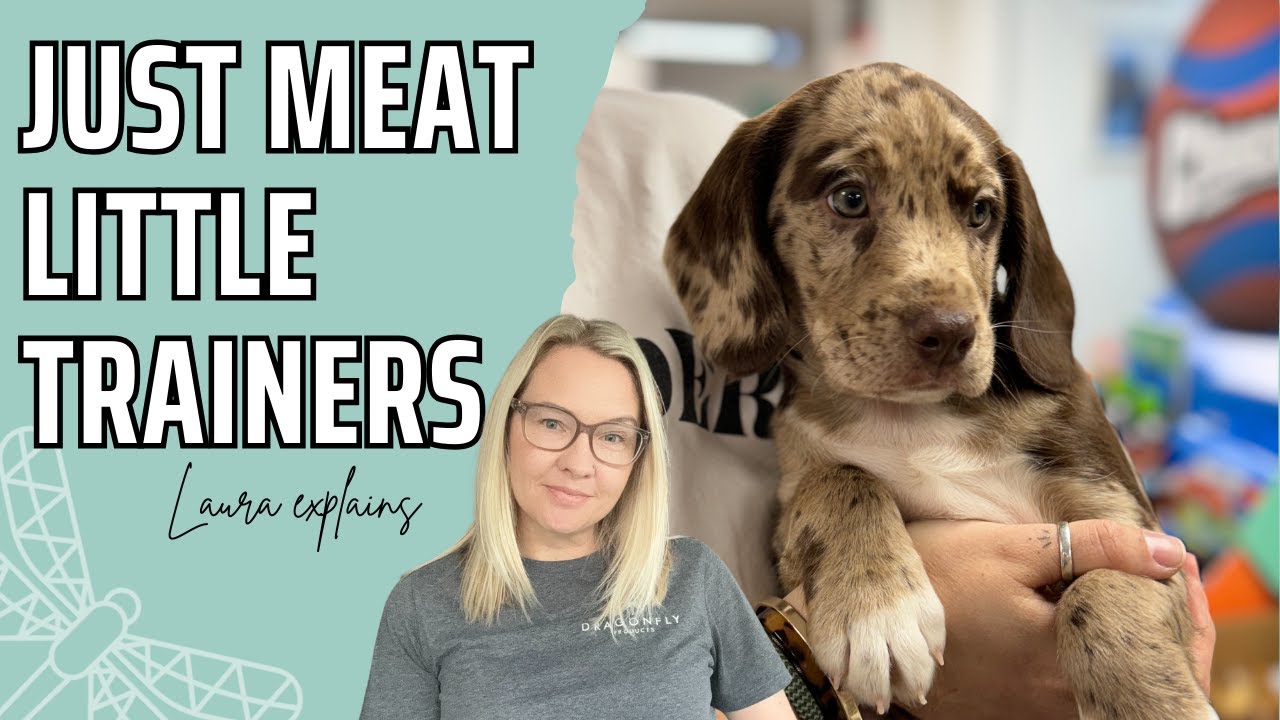 The Benefits of 'Just Meat' Little Trainer for Dogs | Video