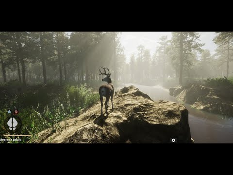 Release Date Trailer