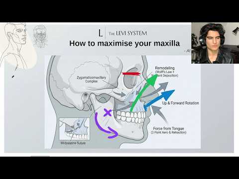 How to maximise your maxilla (at any age)