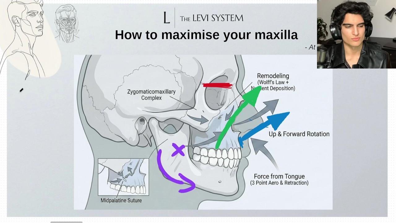 How to maximise your maxilla (at any age)