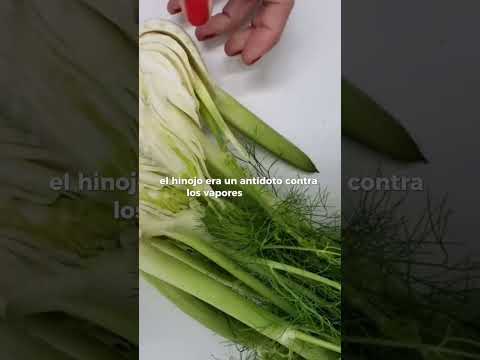 Fennel, belly and melancholy.