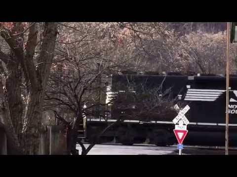 Quick Shot of NS 6101 Light Power Move