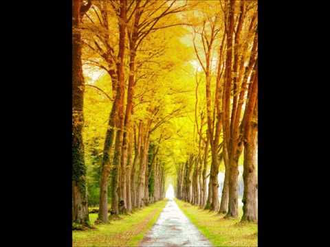 6. Jehovah Mekaddishkem