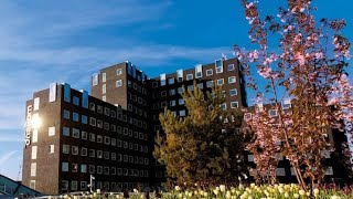 Kopenhag, Danimarka'nın En İyi Müslüman Dostu Oteli, Ekonomik Otel