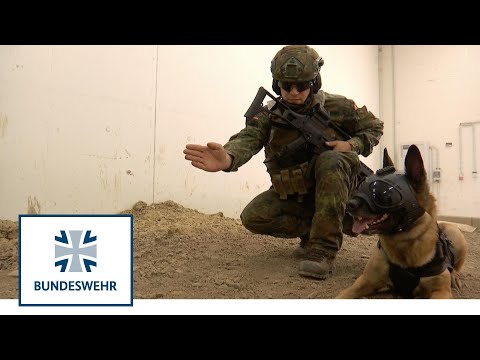 RETTE MICH – Erste Hilfe für Diensthunde | Bundeswehr