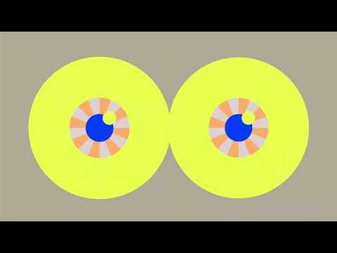 Motion Graphic — Motion Study
