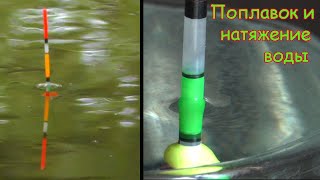 Ссылка