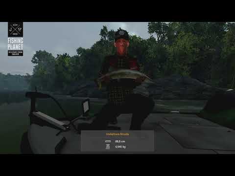 Przynęty Powierzchniowe: Popper - Unikatowa Bicuda 3 kg+ - Amazoński Labirynt - Fishing Planet