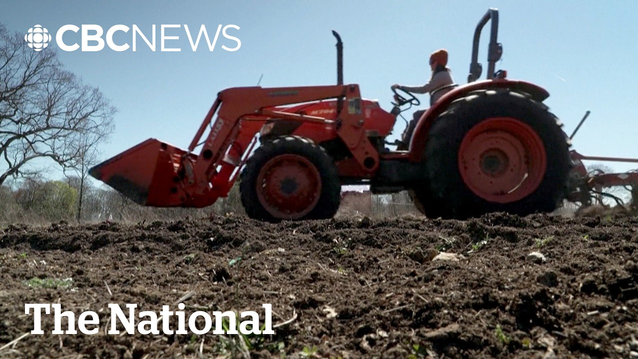 Popular nitrogen-based fertilizer could damage environment, study suggests