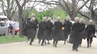 Random Sunny Encounter of "You're The Voice" John Farnham Flashmob in Royal Botanic Garden