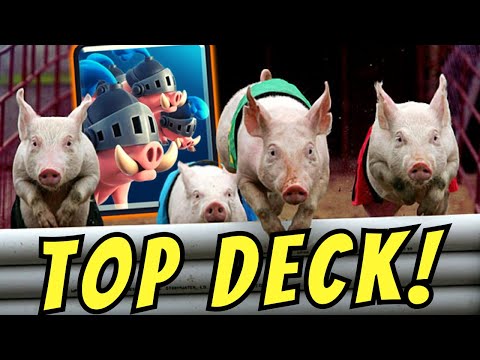 🐷 I MAIALI ROYALE sono MERAVIGLIOSAMENTE OP!!! TOP DECK!!! [clash royale ita]