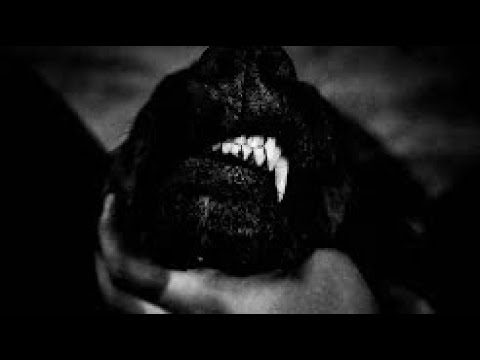 Grief Ecuacraft (Lobby) ϟ +100 ON ϟ #ViperSQ