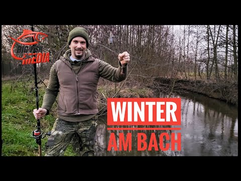 Nachtangeln am Bach - Klappts mit dem Alternativköder?