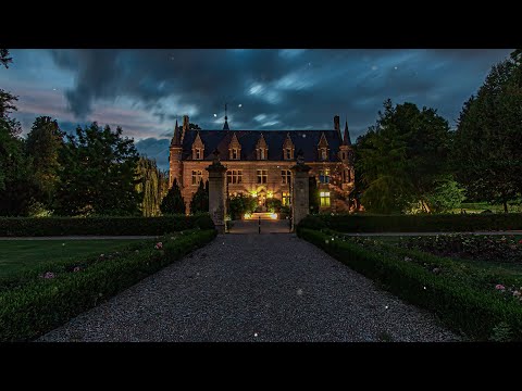 in the gardens of a regency ball | classical music playlist | night ambience