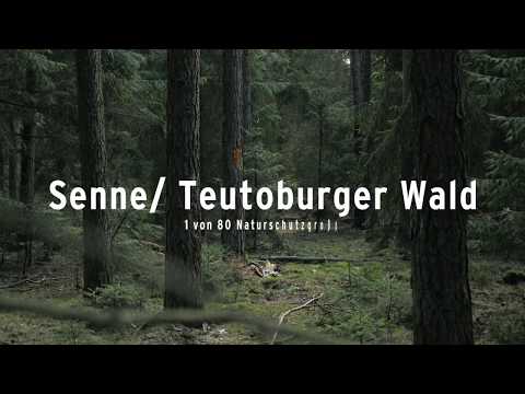 chance.natur: Senne/Teutoburger Wald