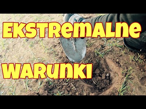 Ekstremalne warunki! Polscy Poszukiwacze w Natarciu. Wykopki w UK #94