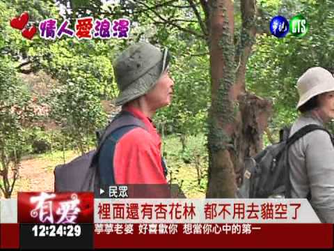 草山茶花園! 情侶感受浪漫氣息