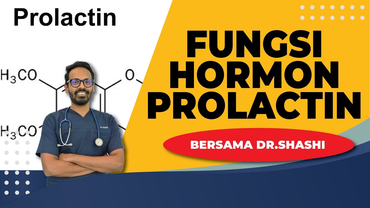 FUNGSI HORMON PROLACTIN