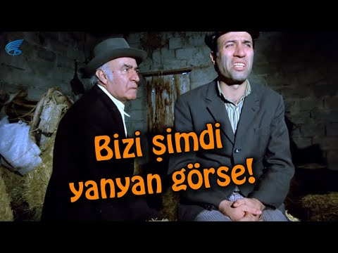 Tokatçı - Bizi Şimdi Yanyana Görse!