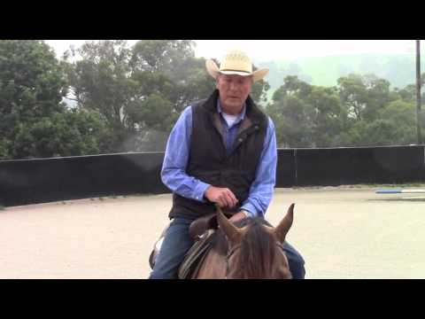 How to train your horse to do a western trail gate. A video by Roy Marchinton