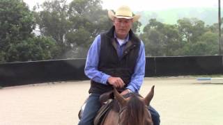 How to train your horse to do a western trail gate. A video by Roy Marchinton