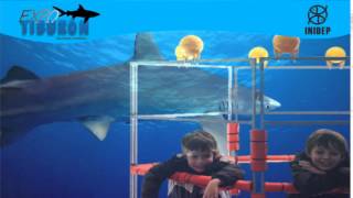 DIA 2 Expo Tiburon177