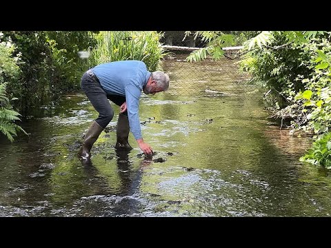Wasserknappheit in der Auvergne: Ist Danone zu maßlos?