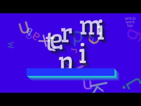 How to say "termini"! (High Quality Voices)