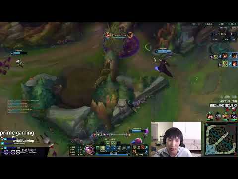Sneaky Convinces Doublelift Zeri is good