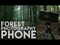 Forest Photography with a PHONE Challenge - Landscape Photography Tips