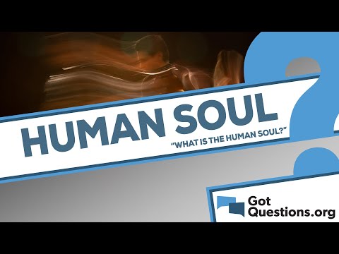 What is the human soul?