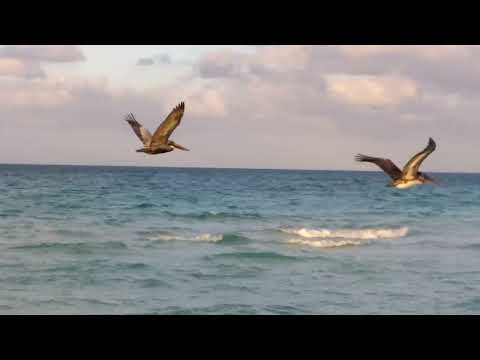 Beach at Valentin Perla Blanca, Cayo Santa Maria, Cuba