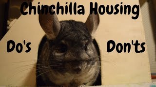 Chinchilla Housing Do&#39;s &amp; Dont&#39;s