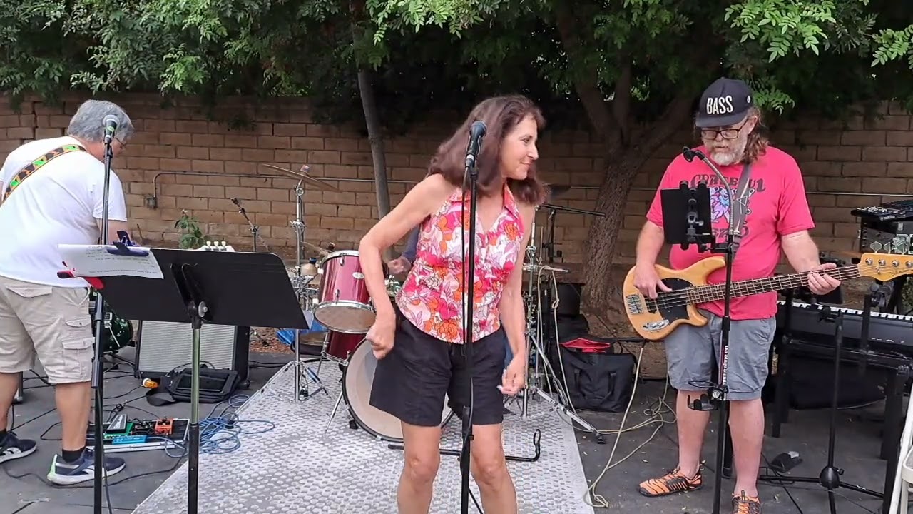 Promotional video thumbnail 3 for The B and C Band