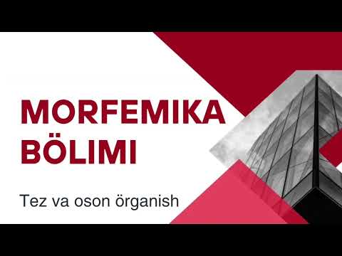 OZBEK TILIDA MORFEMIKA BOLIMI