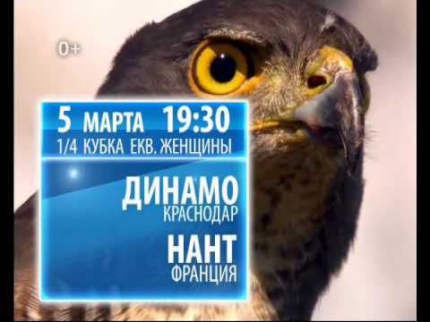 5 марта «Динамо» Краснодар — «Нант» Франция