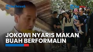 Awal Mula Presiden Jokowi & Keluarga Nyaris Makan Buah Mengandung Formalin, Paspampres Turun Tangan