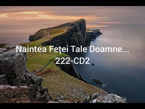 Naintea Feței Tale Doamne - Nicolae Moldoveanu