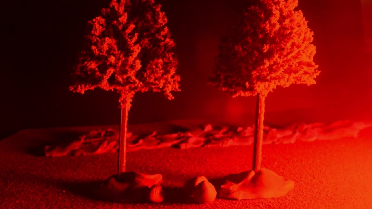 TUMBUH | EXPERIMENTAL ANIMATION