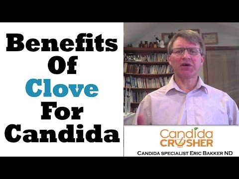 download lagu mp3 mp4 Clove Tea Candida, download lagu Clove Tea Candida gratis, unduh video klip Clove Tea Candida