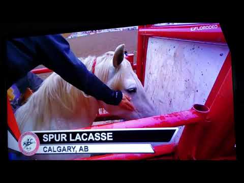Spur LaCasse on C5 Rodeo's F13 Virgil - Ponoka 2019 4 Man Showdown Rd