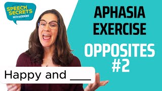 Aphasia Speech Therapy at Home - Opposites #2